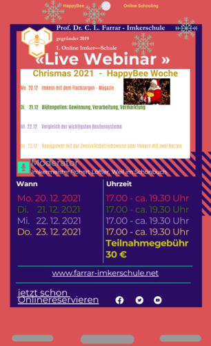 4 Webinare,,HappyBee Crismas Woche" - Mo. 20.12.- Do.23.12.2021