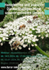 Webinar- Honigbienen und Insekten – Die nachhaltigen Hüter unserer geliebten Umwelt